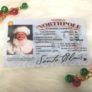 New SANTA CLAUS SLEIGH DRIVERS LICENSE kids stocking stuffers novelty